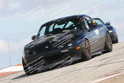 media/Mar-31-2024-Speed Ventures (Sun) [[a3b2bf813d]]/Purple/Session 2 (Grapevine)/